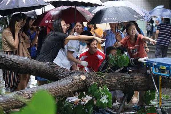 云开体育app官网入口-把感动中国的故事写成一首歌