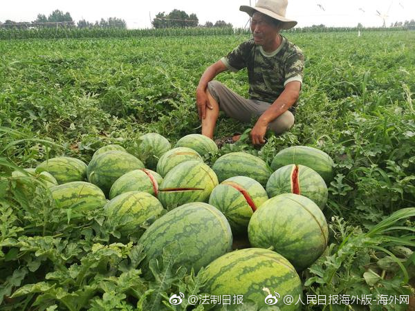 可以在线买球赛的app-黎川境内高速路段18连撞？假的