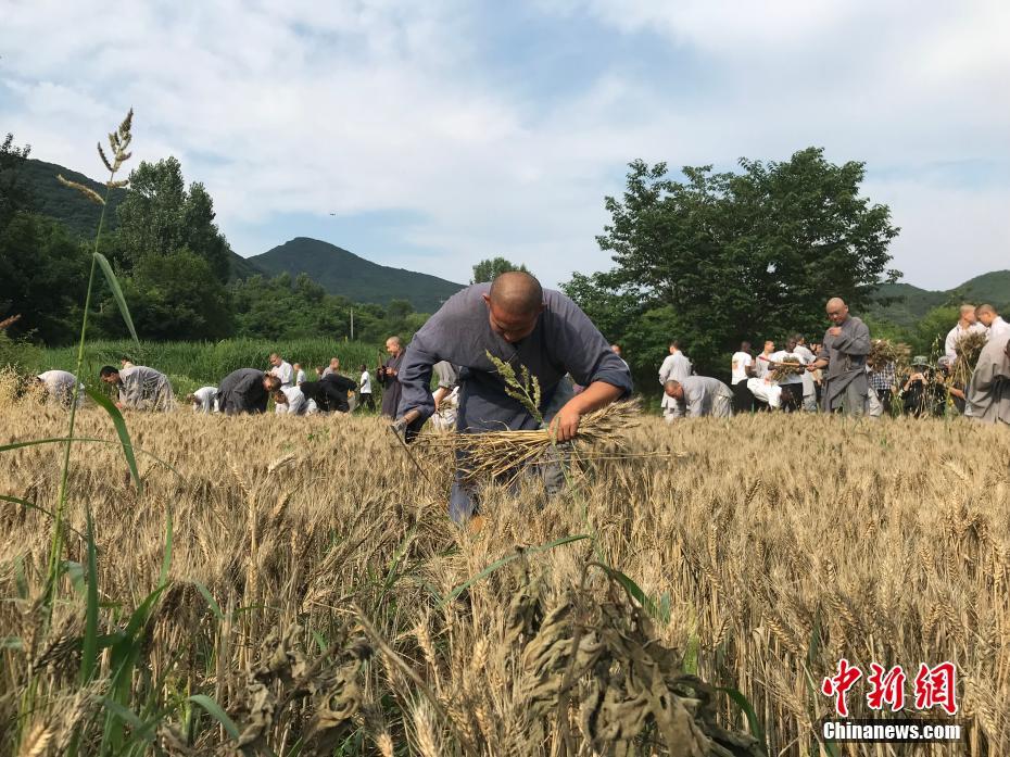 开云网页版相关推荐10