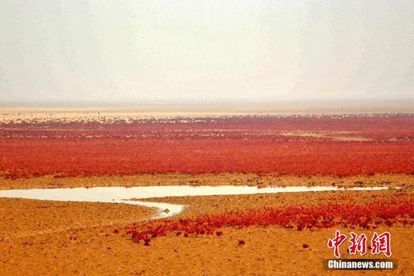 bt体育下载-我国首口超米深层地热科学探井