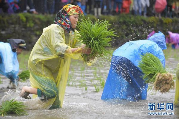 半岛在线体育官网下载