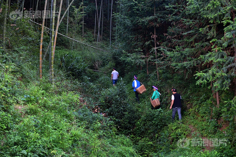 半岛在线体育官网下载