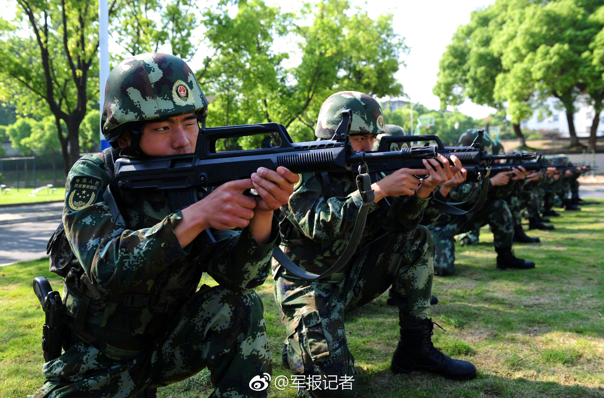 开云app官方最新下载-一到春天拍花血脉就觉醒了