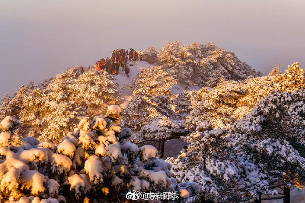 金狮贵宾线路检测-金狮贵宾线路检测