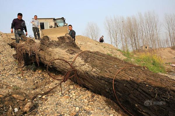 开云官方在线玩相关推荐10