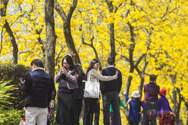 开云官方下载开云app相关推荐1