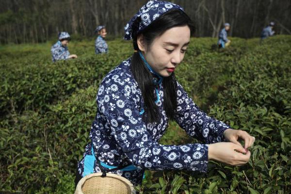 开云电子娱乐-周姐，我太想进步了