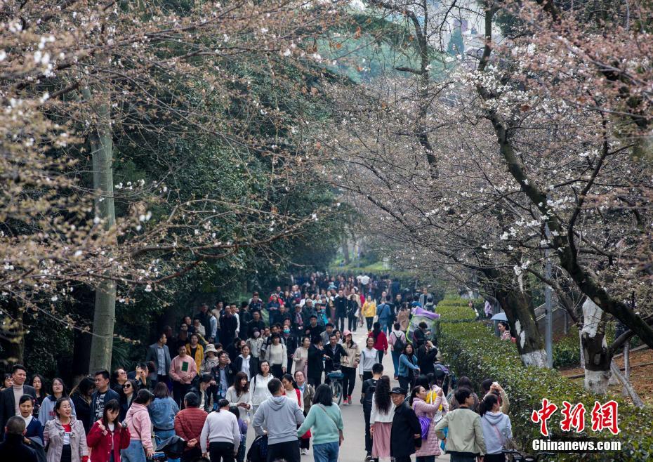 米乐登录平台-米乐登录平台