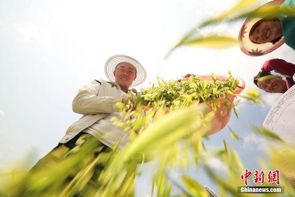 好运彩app官方版下载相关推荐6