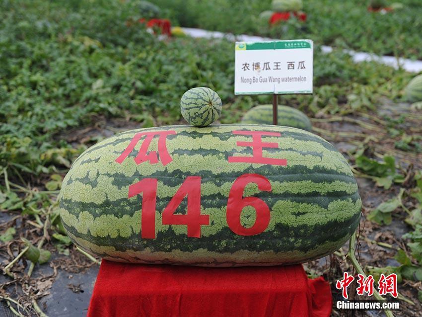 澳门信誉最好的十大平台-特写｜美食的“门道”：耶伦访华侧记