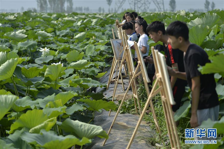 百老汇电子游戏平台