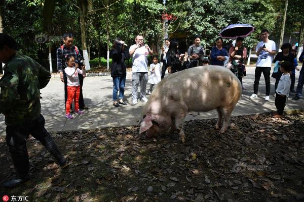 开云官方下载开云app相关推荐7