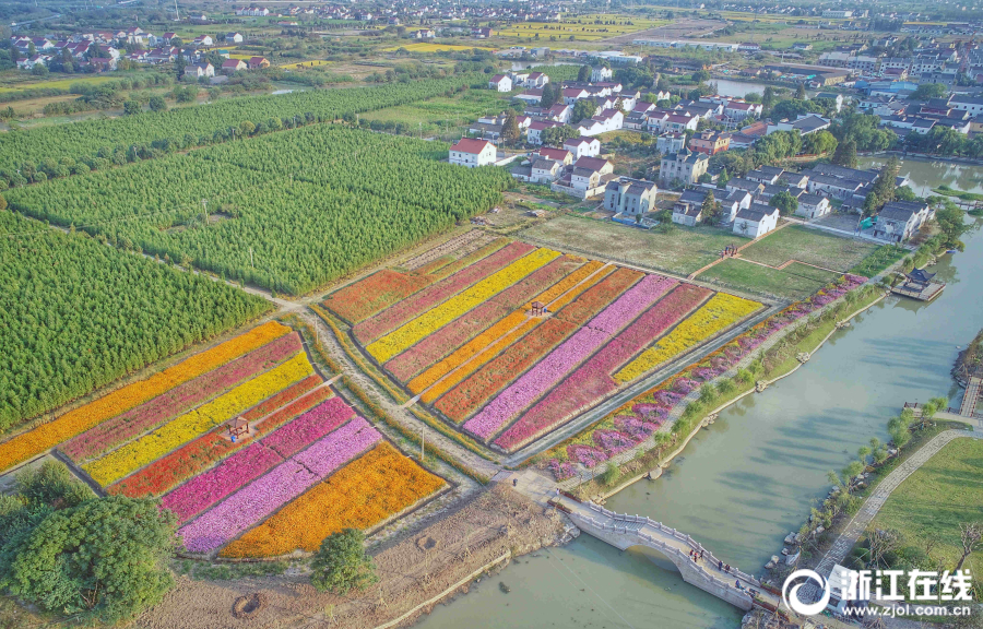 博奥体育app在线下载