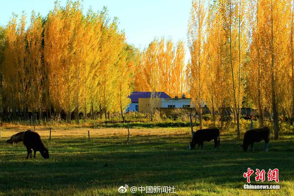 梅高美娱乐公司网站-浙大女生23年前写的励志标语火了