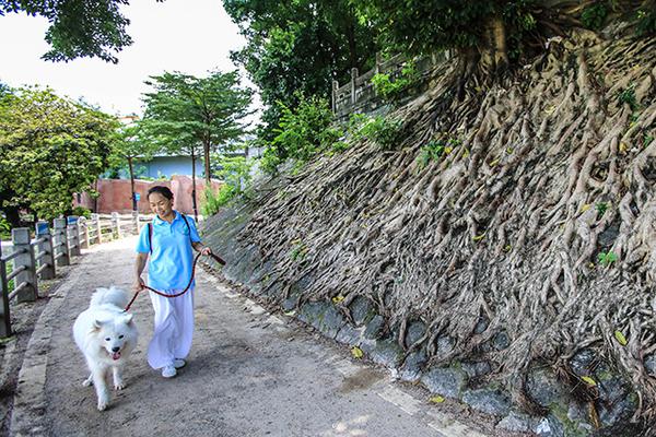 威尼斯888电子游戏下载