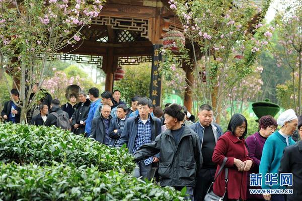 澳门官方平台相关推荐8