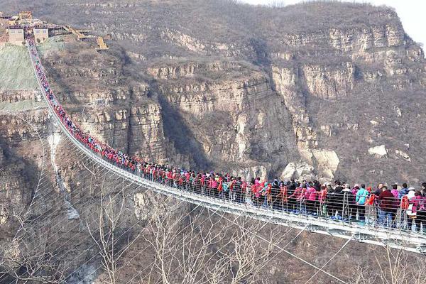 半岛在线登录入口