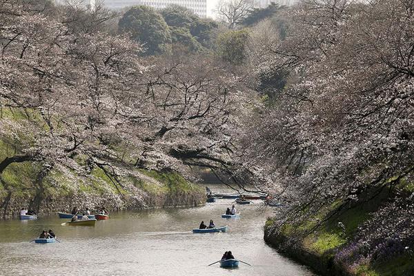 亚星官方平台入口-澎湃晚新闻数字人播报丨2024年4月5日