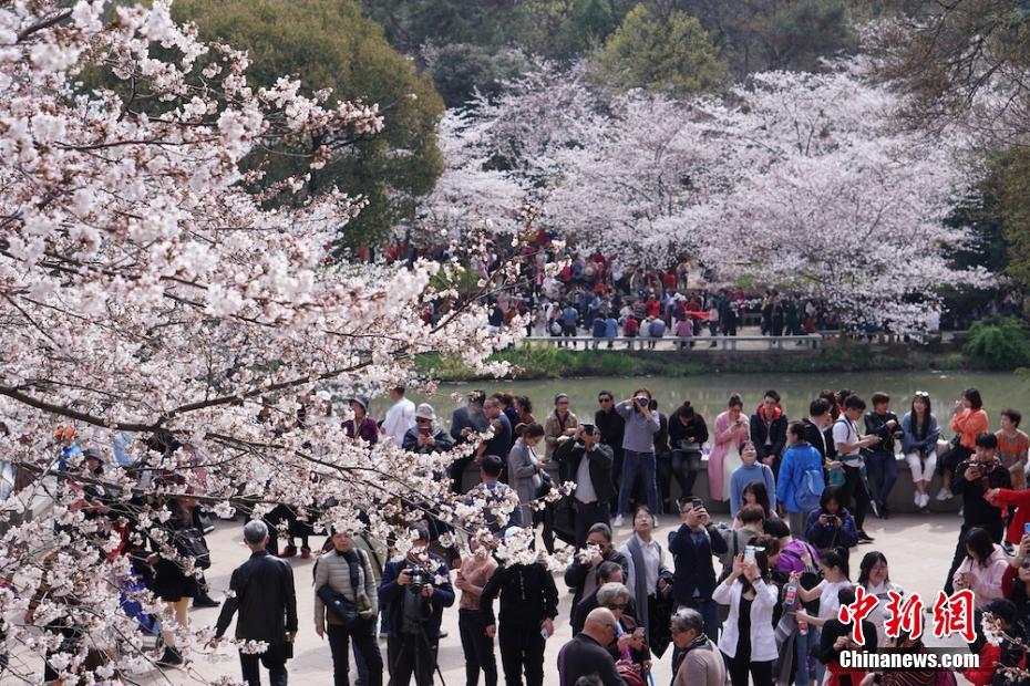 亚星官方平台入口-澎湃晚新闻数字人播报丨2024年4月5日