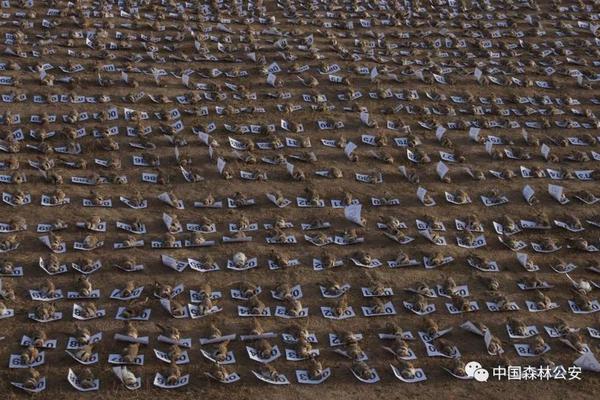 博亚娱乐官网-耶伦同北大师生举办座谈会：讨论中美贸易
、打击洗钱等议题