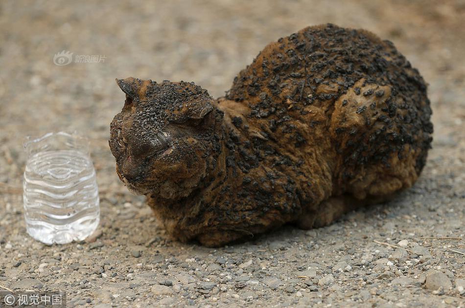 kok电竞首页-福州在线上
、线下设置“学生欺凌举报箱”