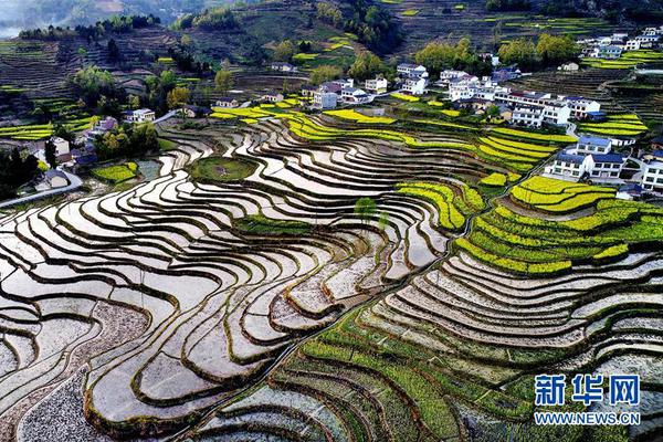 半岛在线登录下载相关推荐10