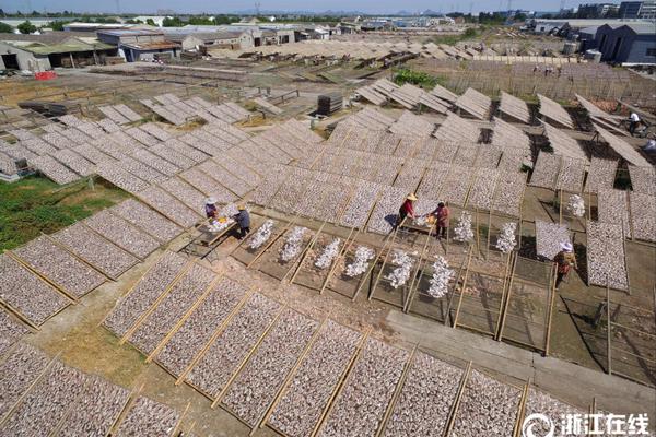 天博tb登录界面相关推荐8