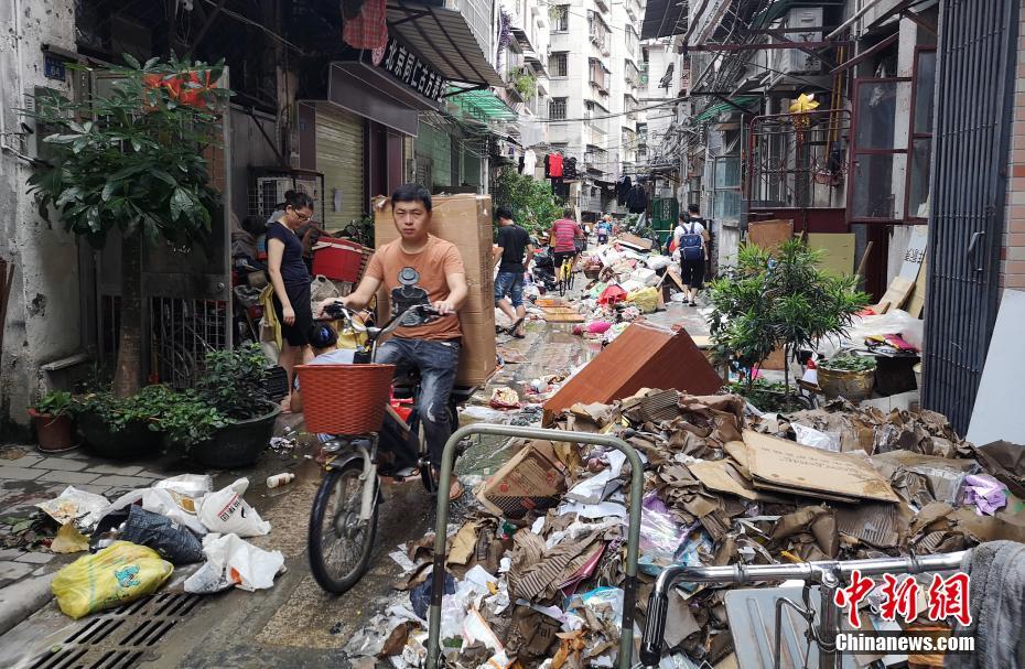 开云电子娱乐-为什么每天出门的时候我家猫都不会送我
，但是下班却会积极得迎接我
？