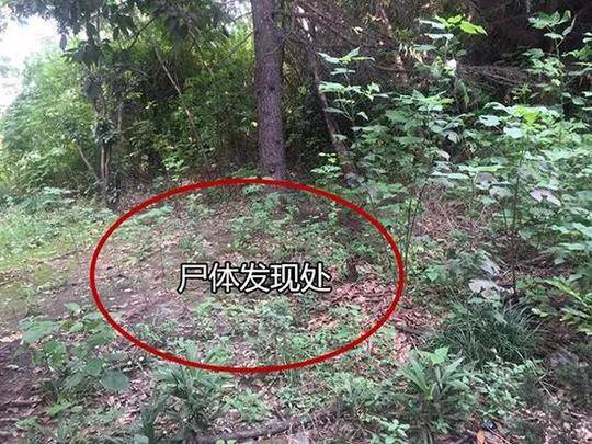 半岛体彩app下载相关推荐7