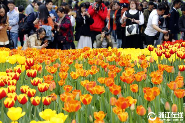 半岛网页版登录入口-意外吃到了去世10年爷爷种的韭菜