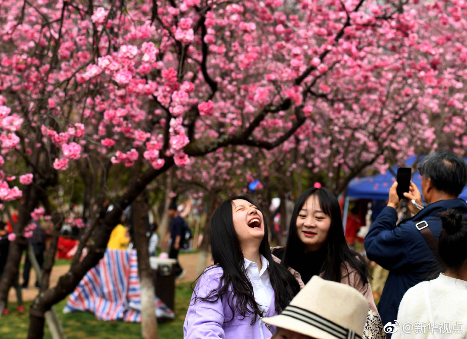 米乐网页版登录入口-你会选择一个家境差月光族的漂亮女孩做老婆吗？