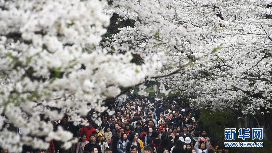 天博官方app首页入口下载-男子因诈骗罪服刑期间又诈骗多名狱友超10万元，赃款被亲属挥霍