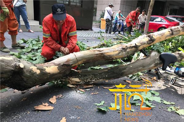 云开全站app登录app下载-周雨彤 一次醉酒换来一生内向