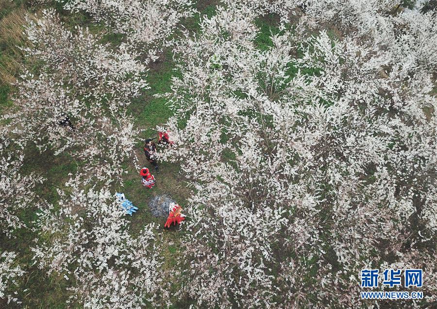 开云官方体育app下载-浙大女生23年前写的励志标语火了