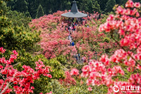 半岛最新官网登录相关推荐10