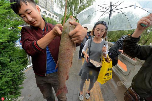 天博tb手机app安装下载-检方通报邯郸初中生被害案：3名未成年犯罪嫌疑人被核准追诉