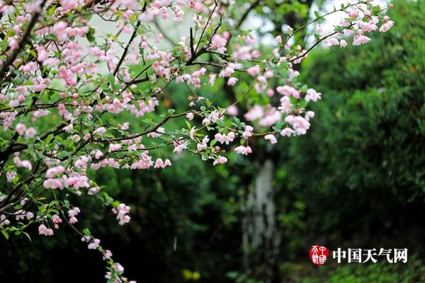 半岛综合平台登录入口-半岛综合平台登录入口