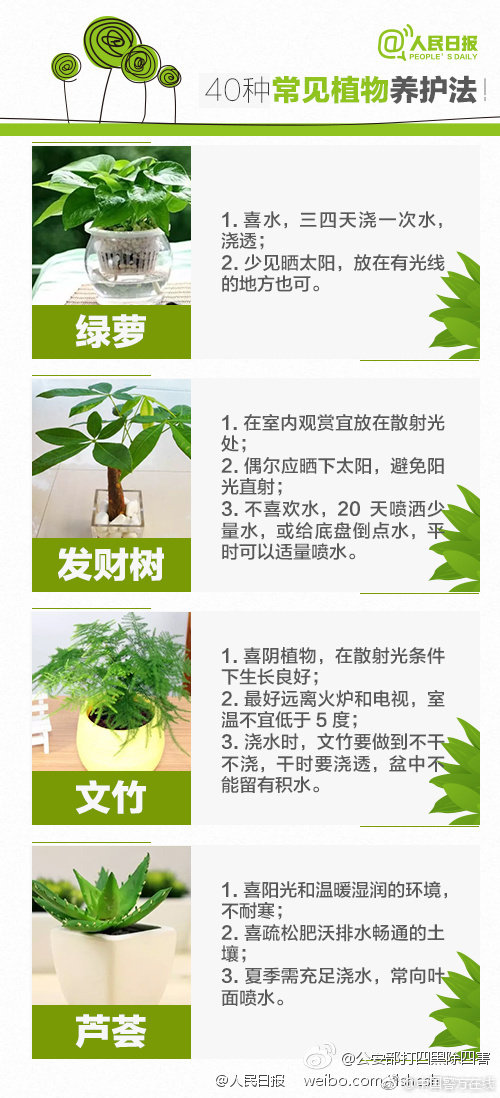 网上百老汇网址-昆明被举报婚内出轨的局长已停职