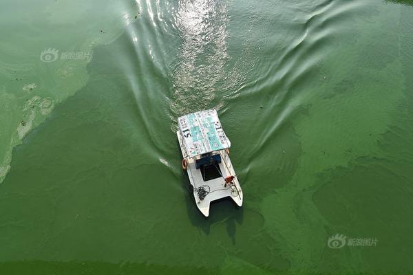 永利官网注册-向佐评论费曼