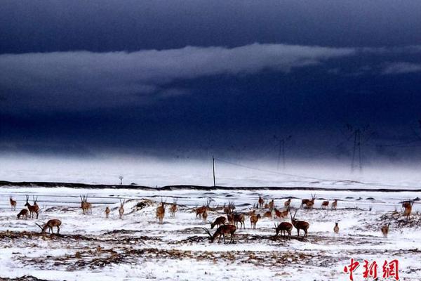 半岛在线登录下载-半岛在线登录下载