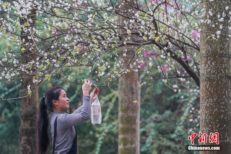 博亚体育app官网最新版-江西南昌一公交车连撞多人：司机突发心脏不适
，已致3死7伤