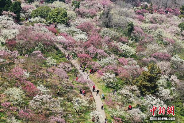 半岛在线官网相关推荐9