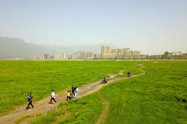 牛牛平台注册-据说每挖出一棵五指毛桃 世界上就会少一只鸡
	！【主播说三农】