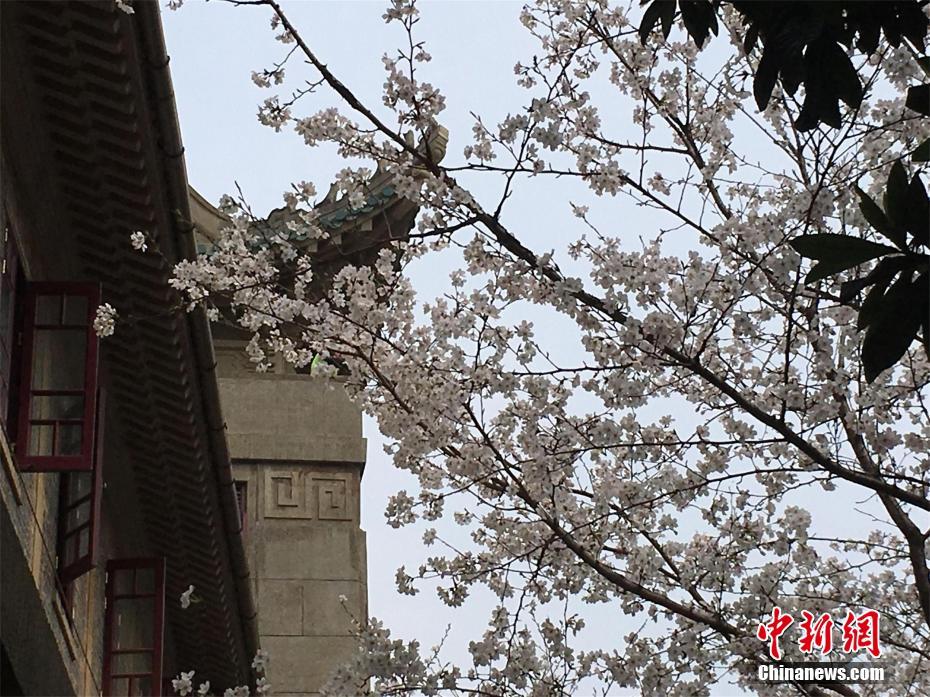 火博登陆平台-火博登陆平台