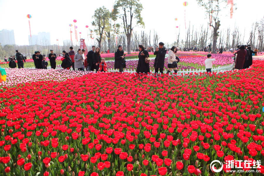 火狐娱乐官方app平台-火狐娱乐官方app平台