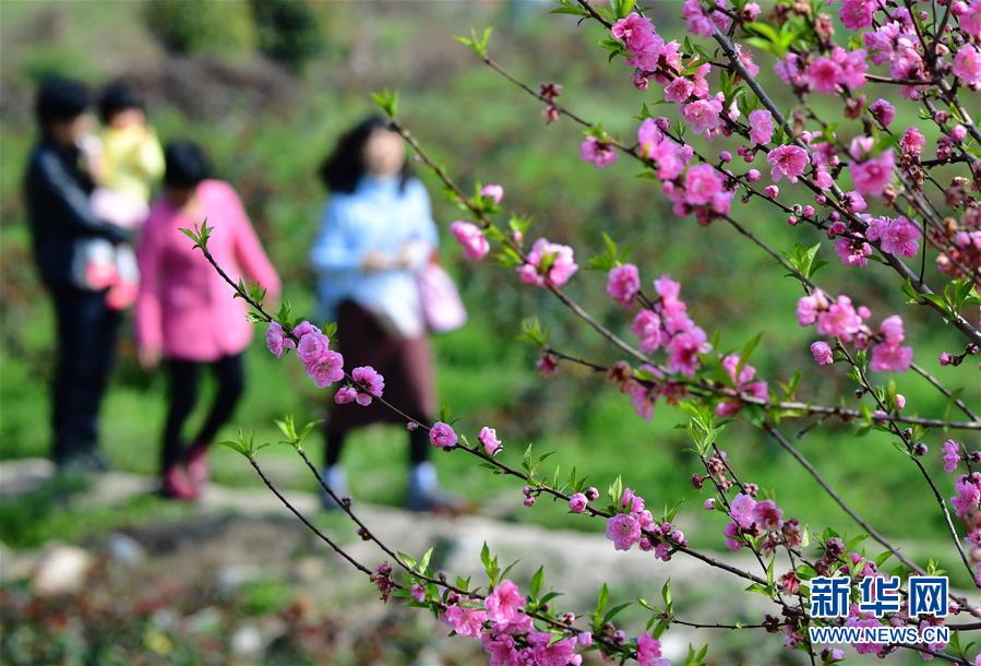 开云官方体育app下载-广东肺癌专家新发现�：肺结节是良是恶，与“基因种子”有关