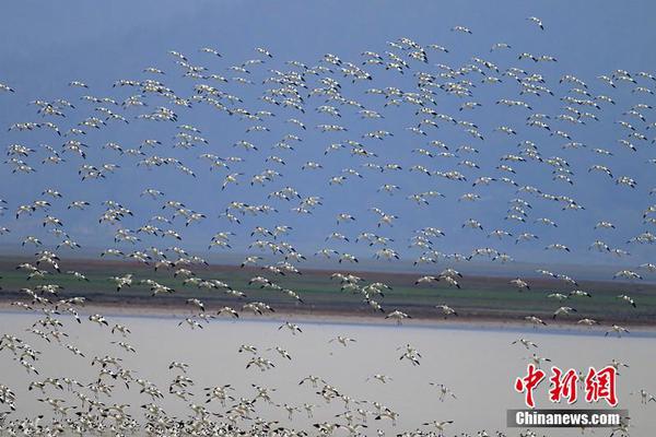 乐鱼官方在线登录