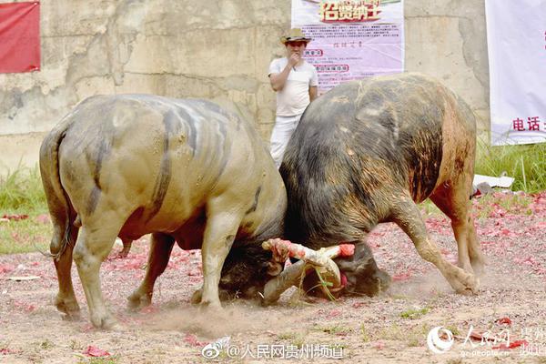 bob娱乐官方网站-虐猫考生参加兰大研究生调剂面试，未现身思政考核环节，疑似面试未通过，结果究竟如何？