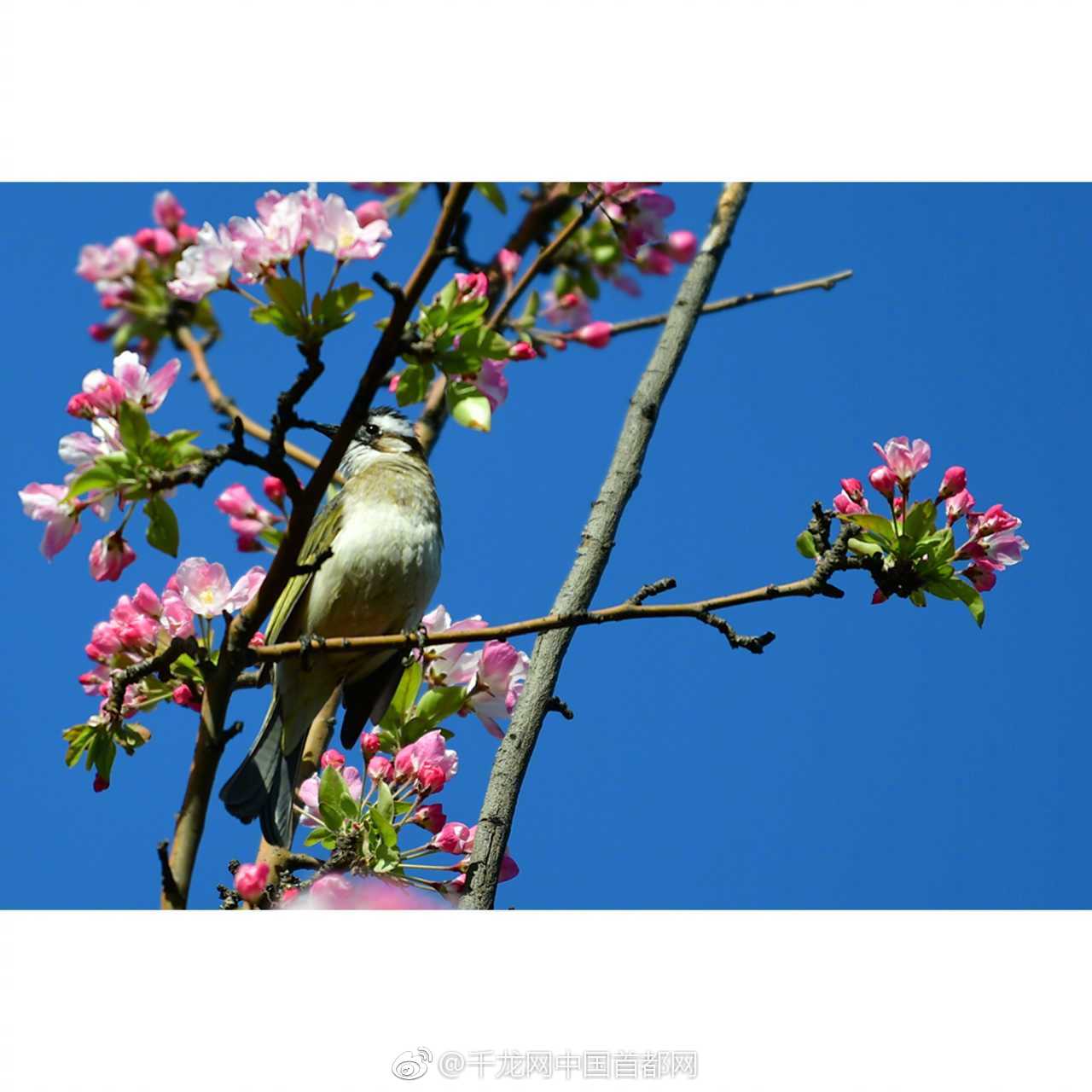 美狮贵宾登录网址-是否应该对另一半完全坦白过去的情史（包括细节）	？