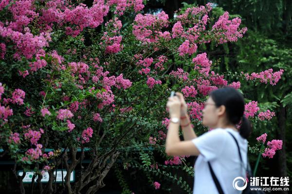 新京葡萄网站相关推荐3